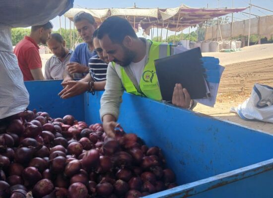 استمرار فحص شحنات الصادرات الزراعية لدعم نفاذ المنتجات المصرية للأسواق العالمية